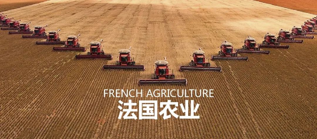 法国农业：欧盟农业大国，靠这6大战略制胜市场